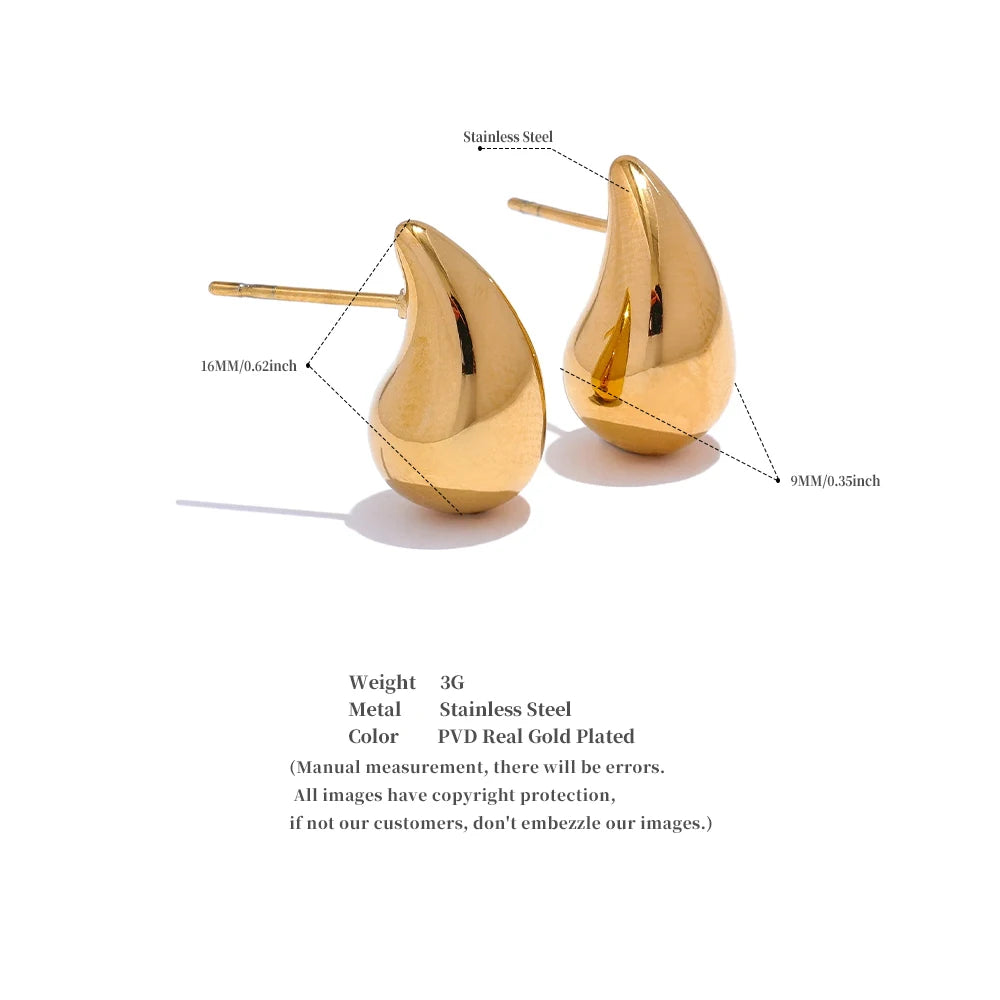 Mini Celine Earrings
