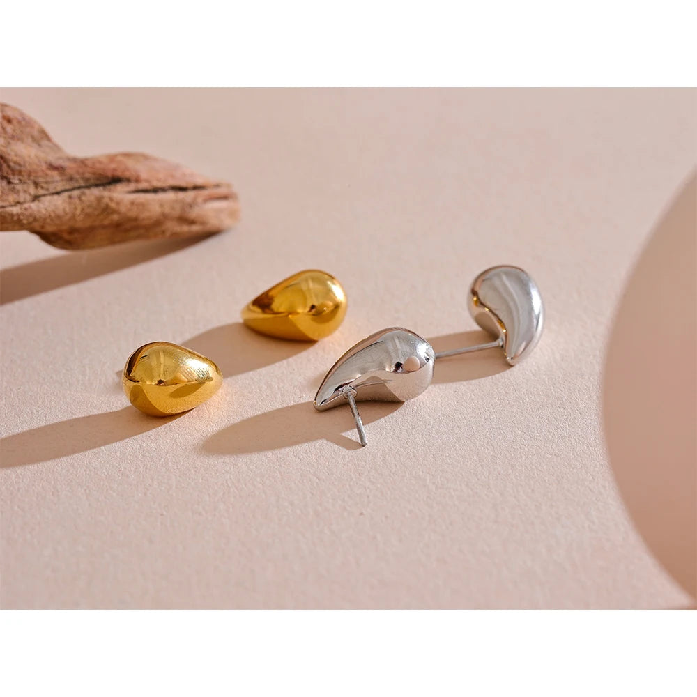 Mini Celine Earrings